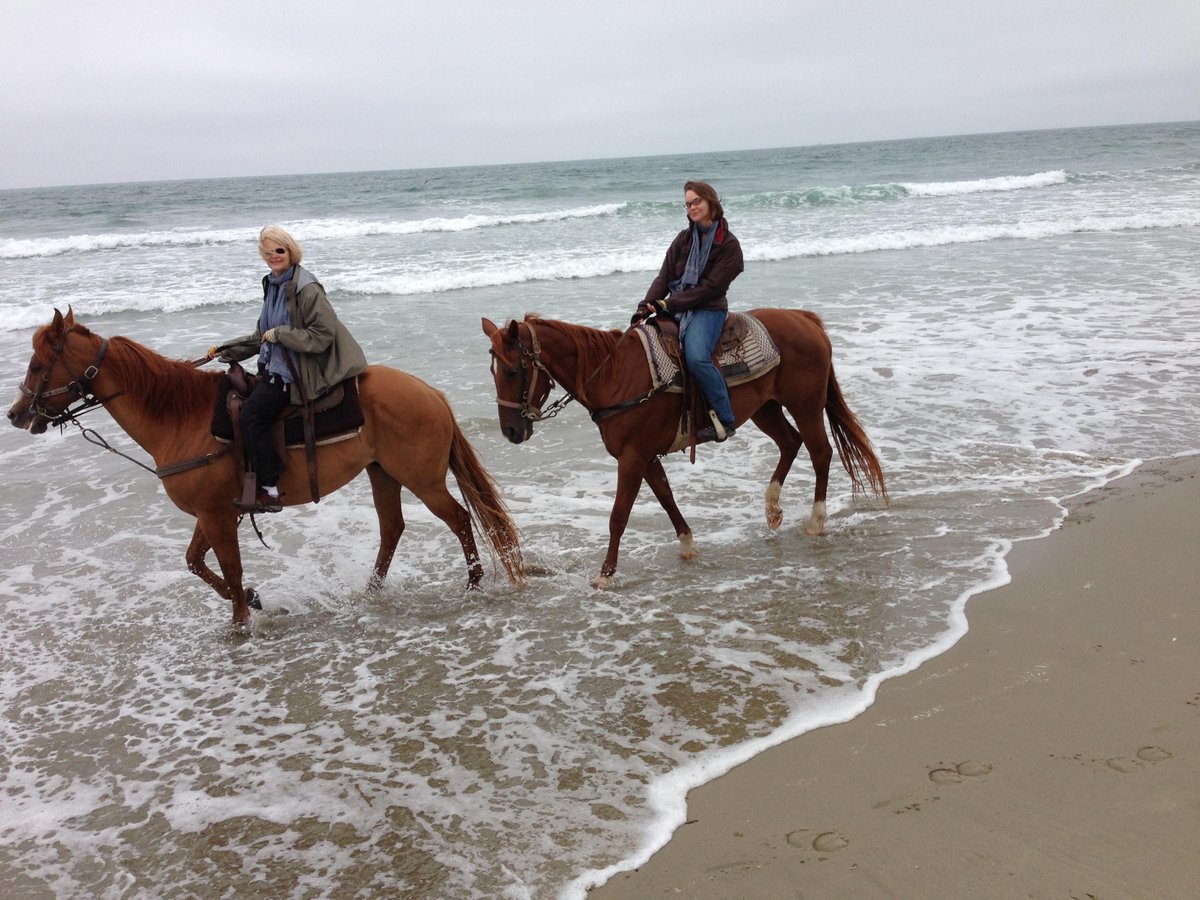 Monterey Bay Equestrian Center - All You Need to Know BEFORE You Go (2024)