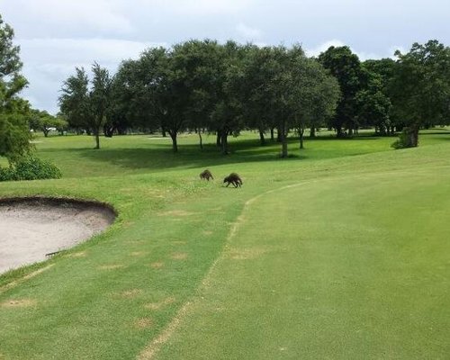 THE BEST North Miami Beach Golf Courses (with Photos) - Tripadvisor