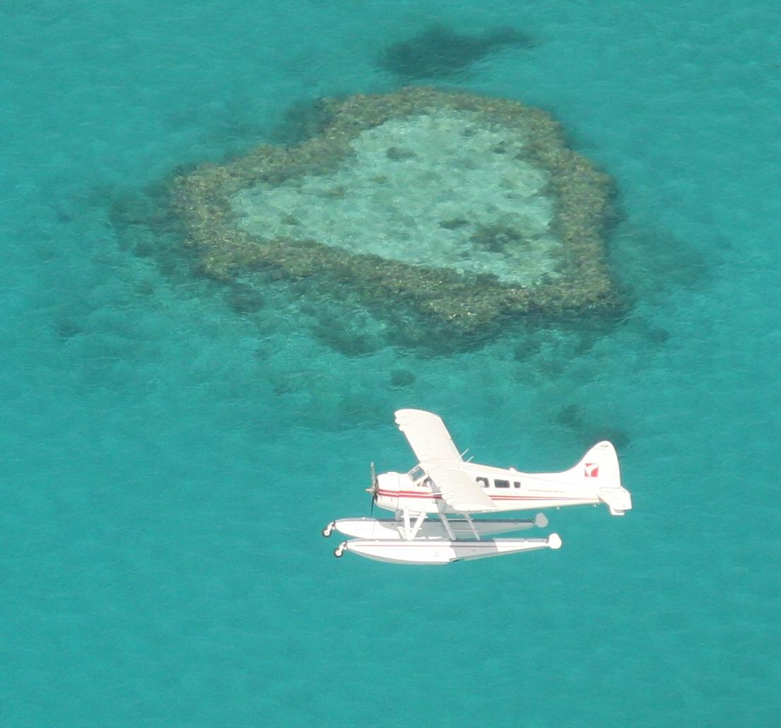 Heart Reef- Great Barrier Reef - by AnnMaree, Australian Artist 30 factory X 30 cm.