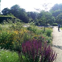 Botanischer Garten Gütersloh im Juli