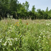 Vermont Wildflower Farm (Charlotte) - All You Need to Know BEFORE You Go