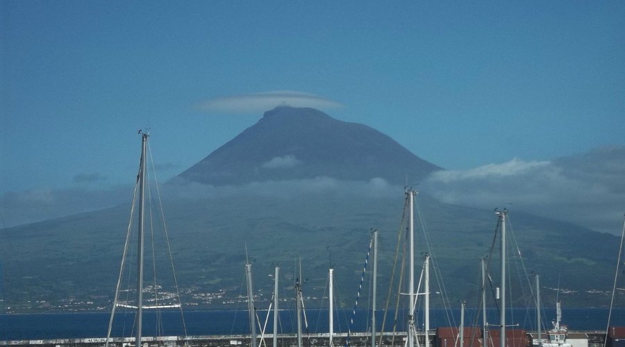 Pico