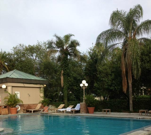 The Westin Tampa Waterside Pool Pictures Reviews Tripadvisor   Westin Tampa Harbour 