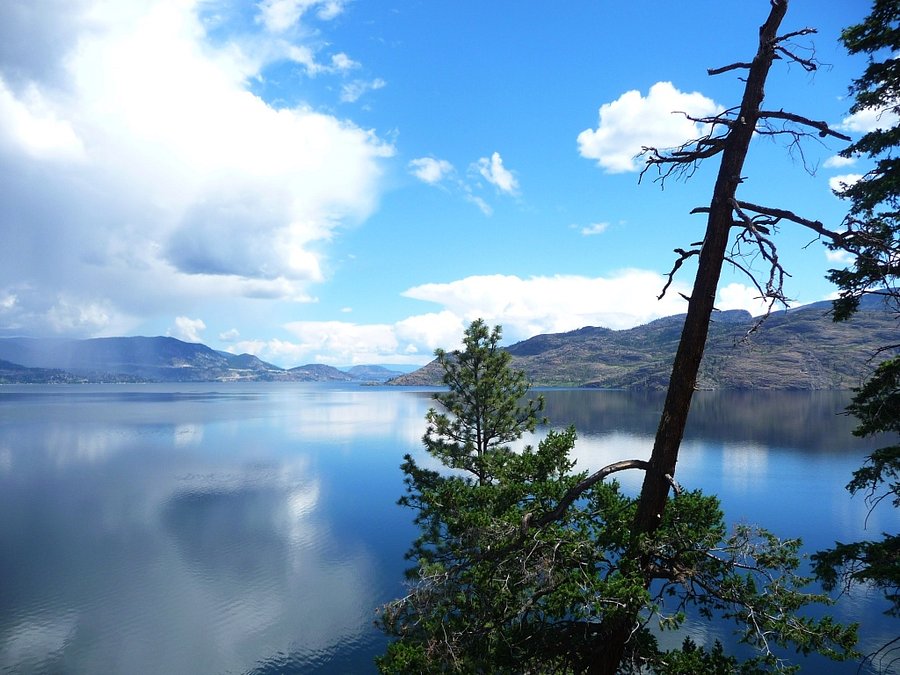 Lake refresh. Peachland.