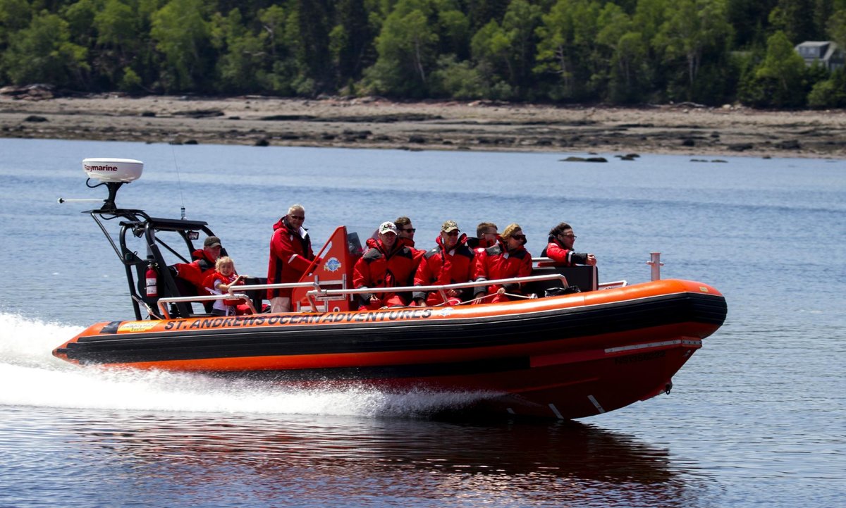 St. Andrews Ocean Adventures (Saint Andrews) - All You Need to Know ...