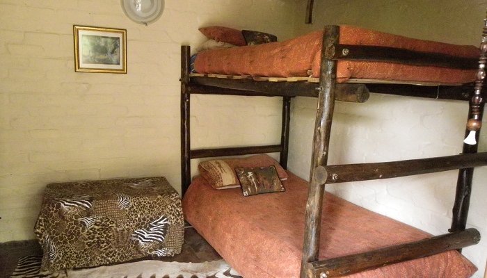 Lion Rooms