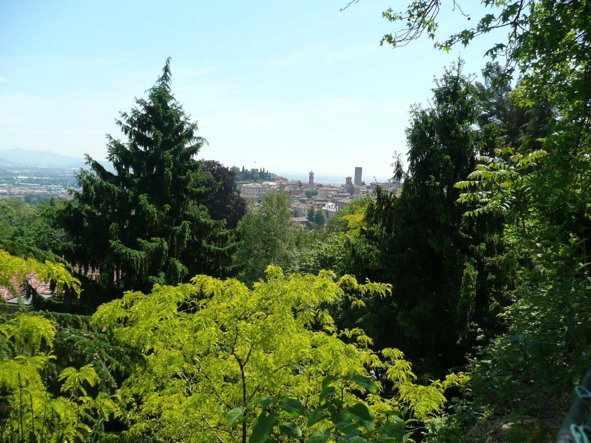 Orto Botanico Di Bergamo Lorenzo Rota - All You Need To Know BEFORE You ...