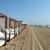 Sky Beds for rent