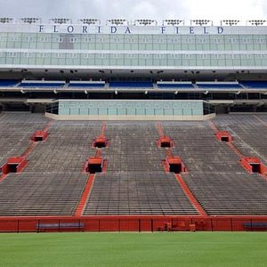 Home Field of Florida Gators Baseball - Review of Alfred A. McKethan Stadium,  Gainesville, FL - Tripadvisor