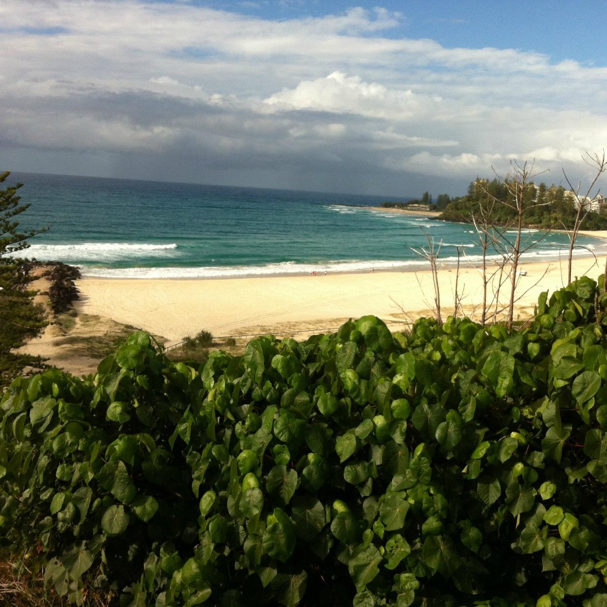 kirra-hill-coolangatta-tripadvisor