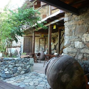 View from the river room