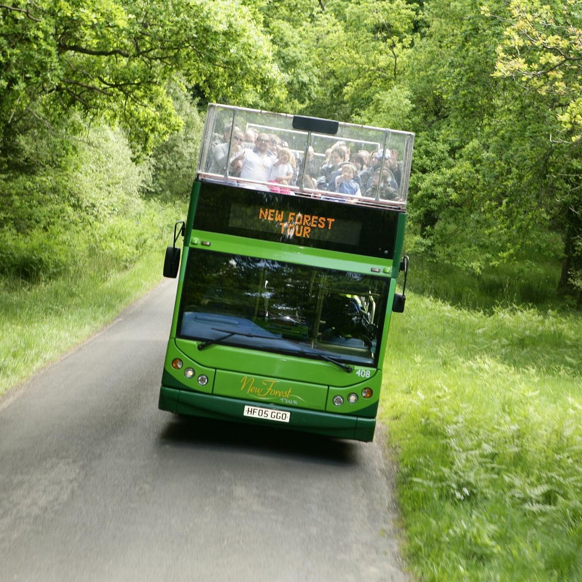 the new forest tour reviews