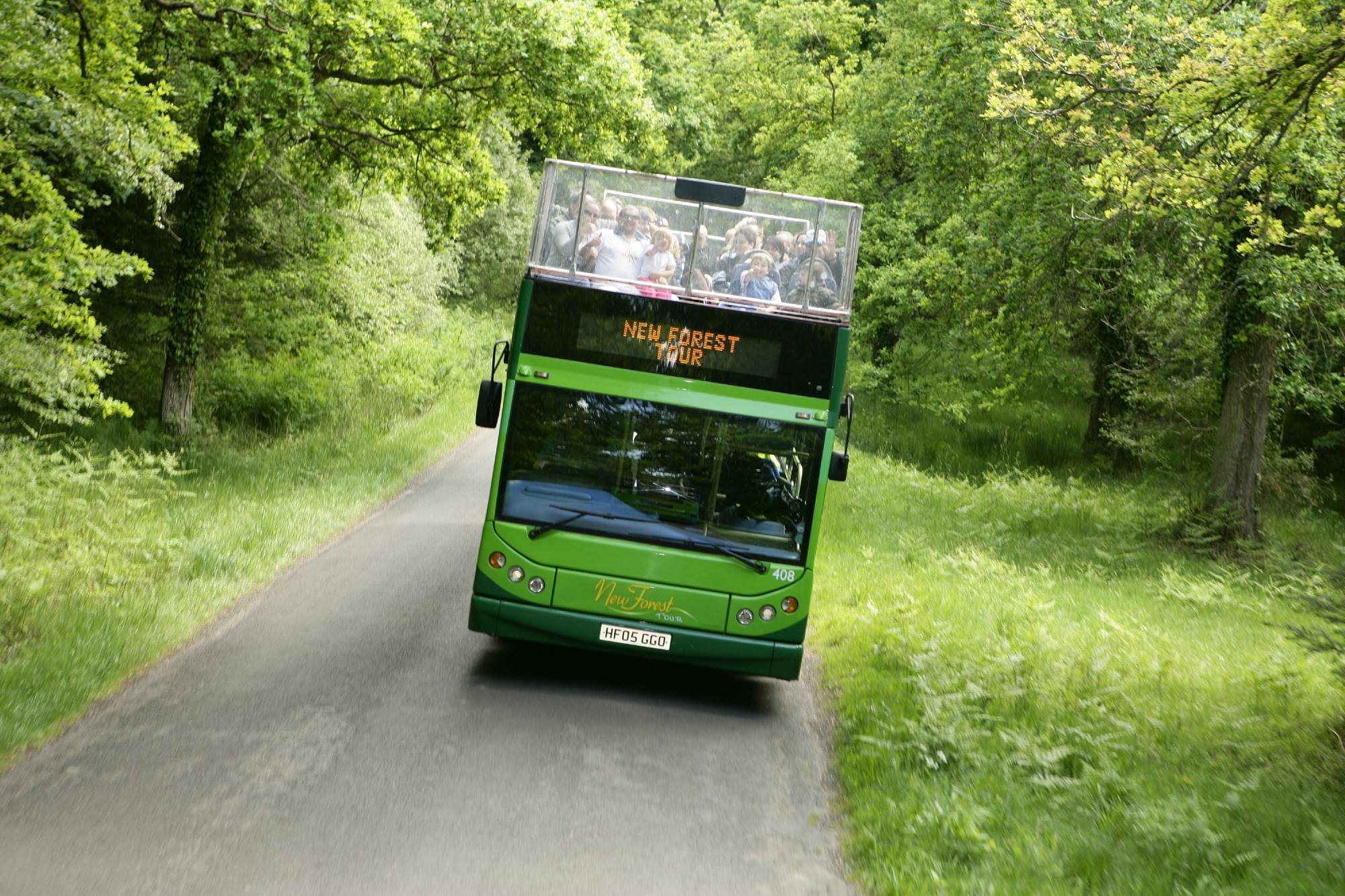 new forest tour bus lymington