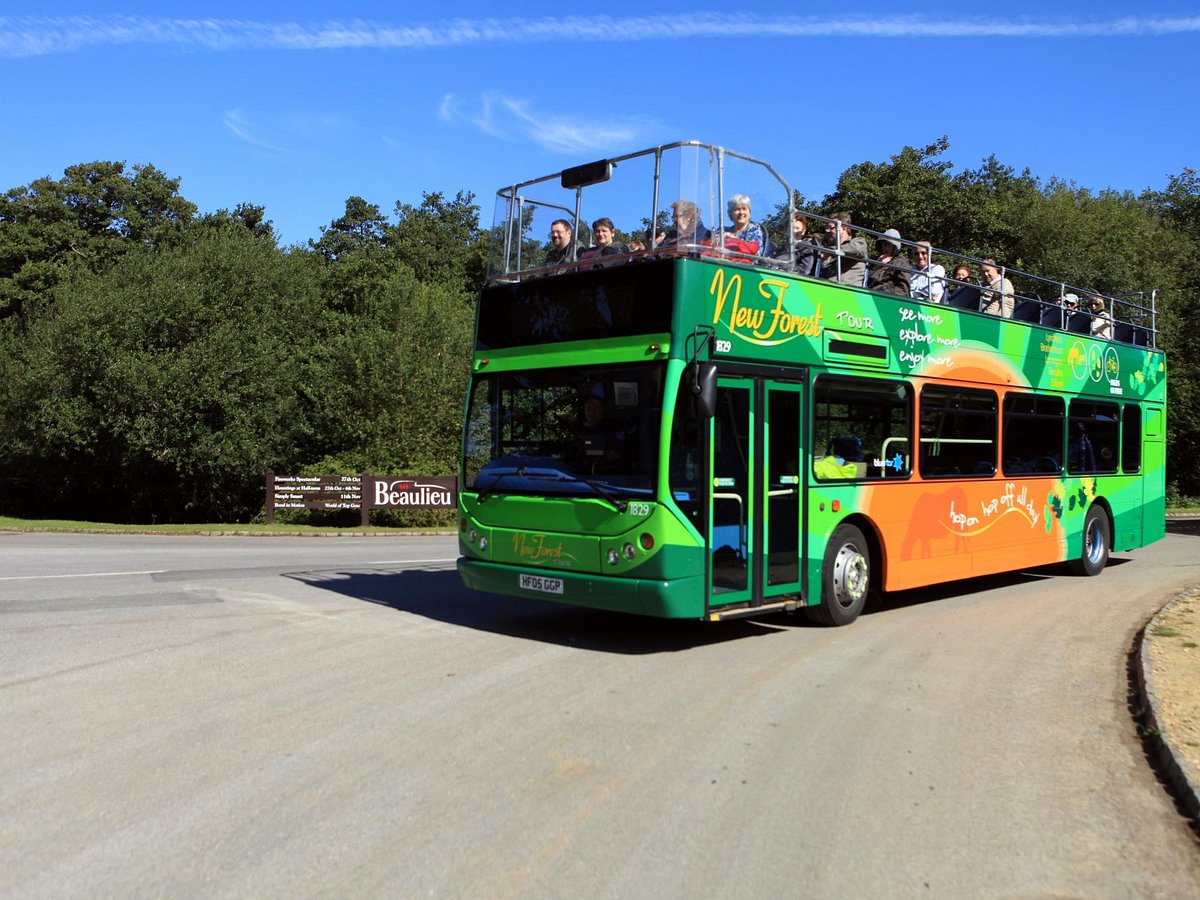 open top tour bus new forest