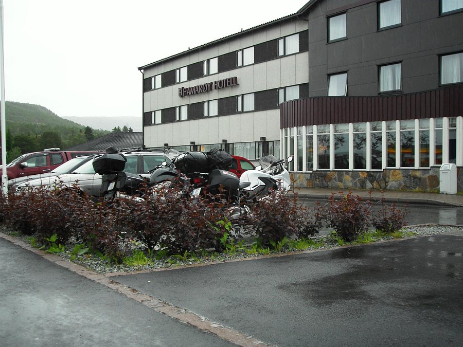 singel treff vik