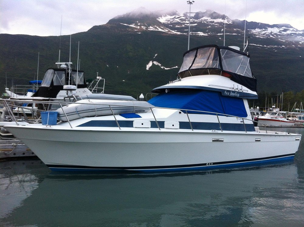 THE 10 BEST Valdez Fishing Charters & Tours (with Photos)