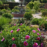 The Millennium garden