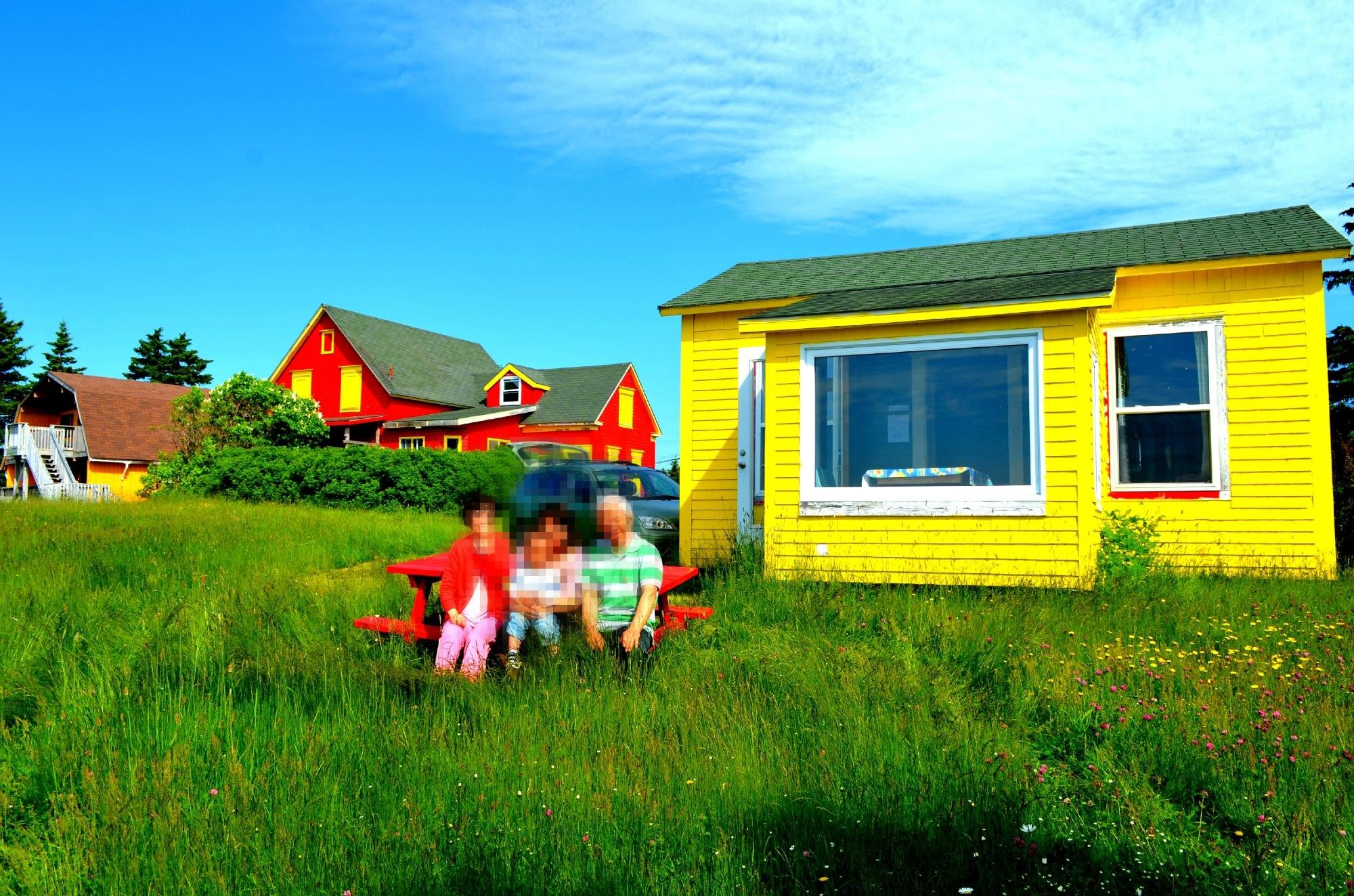 Driftwood Lodge by null