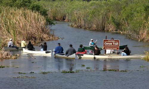 Tom Rasmussen - Everglades Day Canoe Trip
