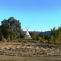 FIBAS JARDIN DEL DESIERTO