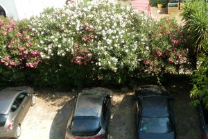 Δωμάτιο και σουίτα