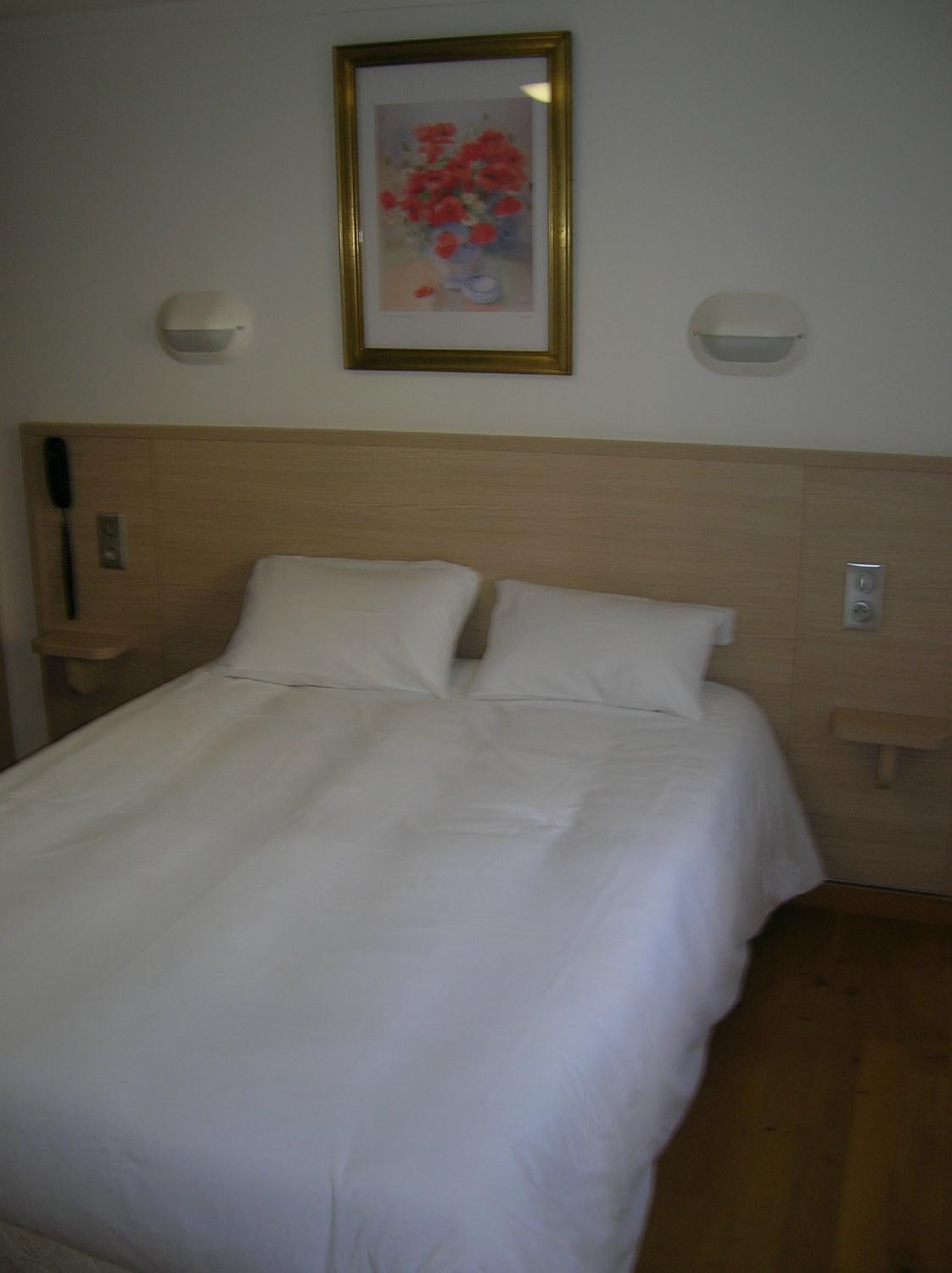 Hotel photo 93 of Hotel Darcet.