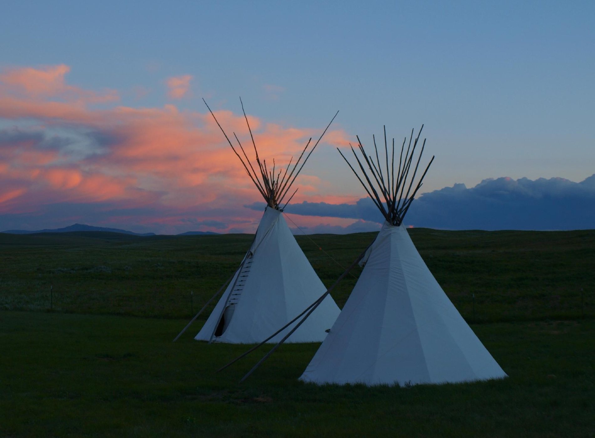Lodgepole Gallery by null