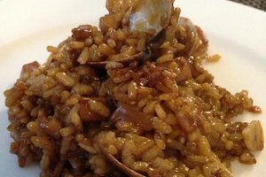 Cibo