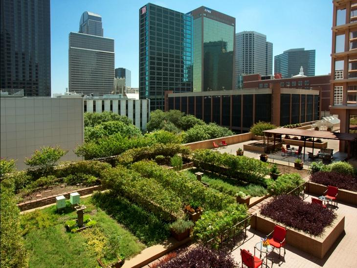 Hotel photo 62 of Fairmont Dallas.