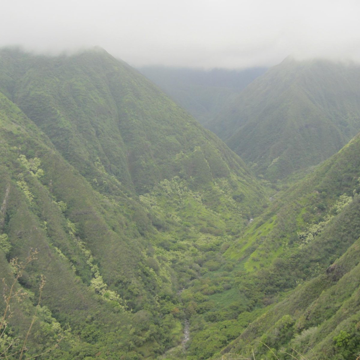 WAIHEE CANYON (2024) All You Need to Know BEFORE You Go (with Photos)