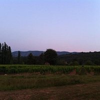 Vue sur le Luberon et les vignes du domaine