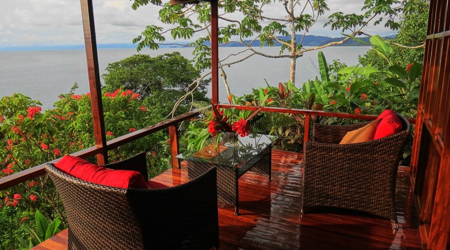 view from the balcony