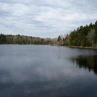 Pond at Conservation Area, Long Island, Cumberland County, Maine