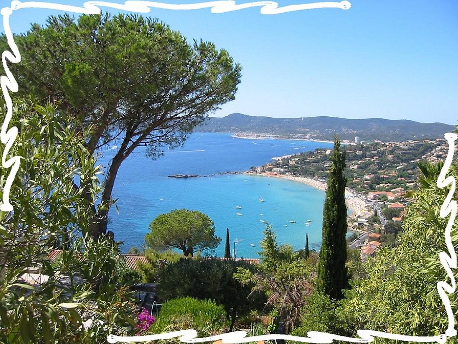 le lavandou