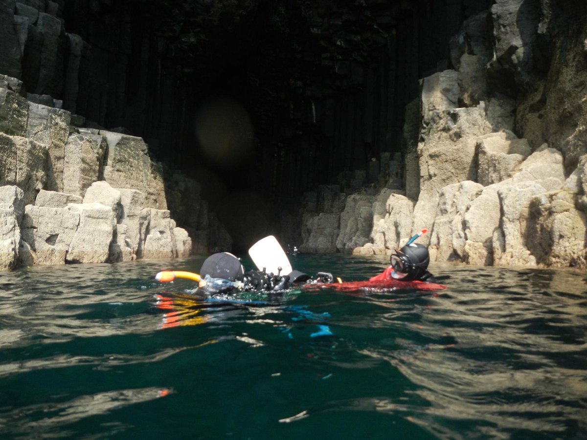 Basking Shark Scotland Oban All You Need To Know Before You Go 2798