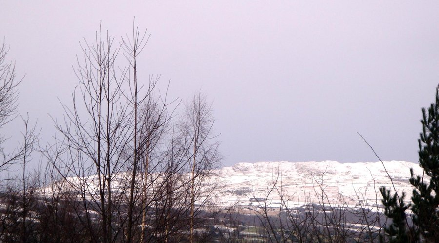 A snowy view