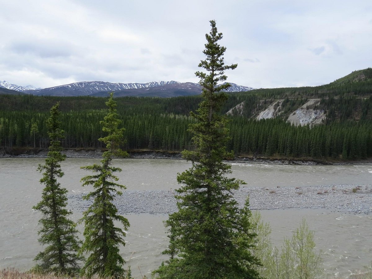 denali national park history tour