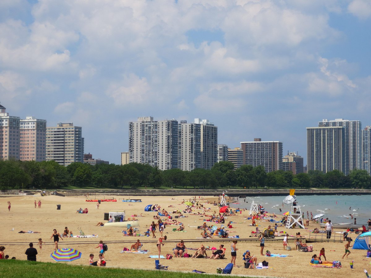 are dogs allowed at foster beach chicago