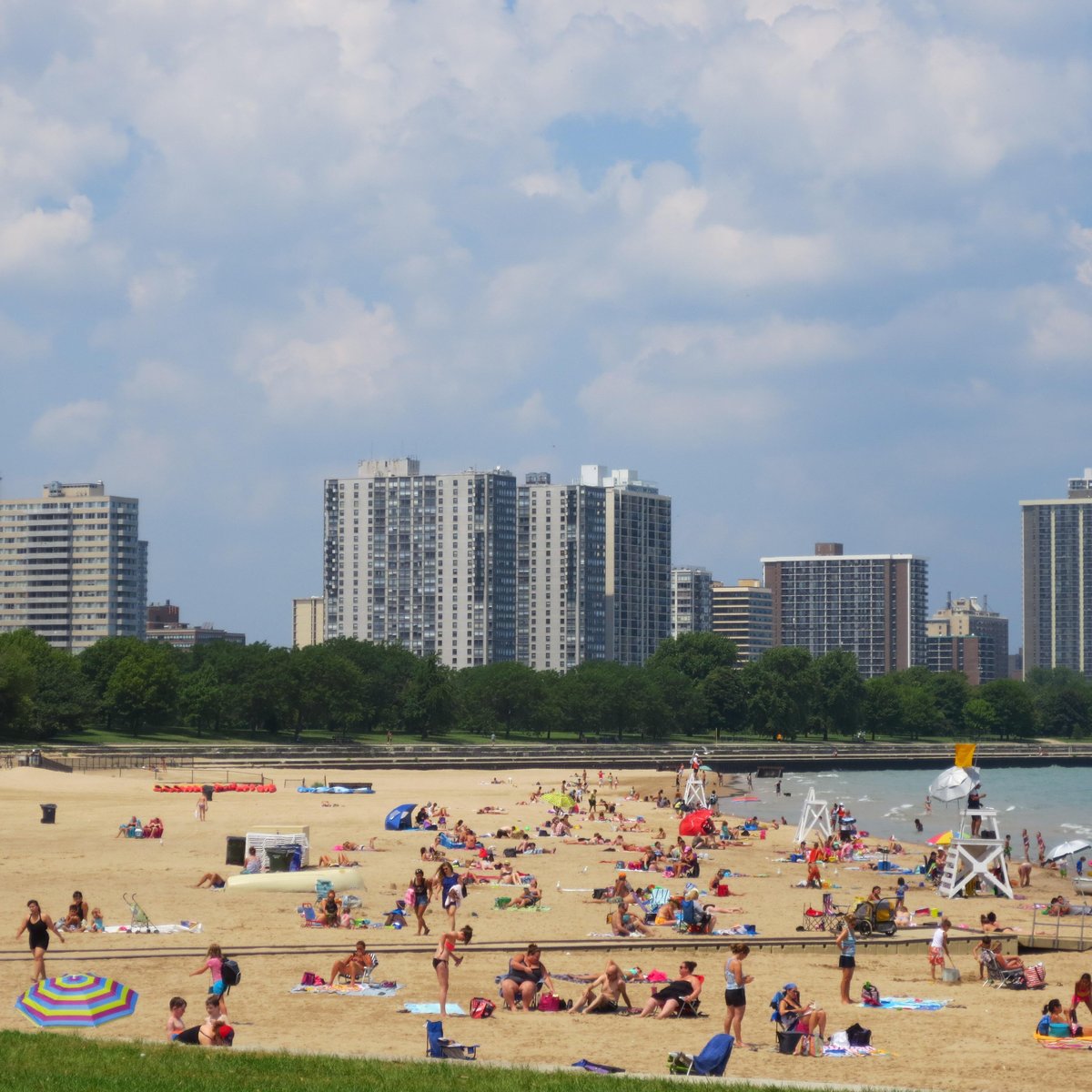 are dogs allowed on chicago beaches