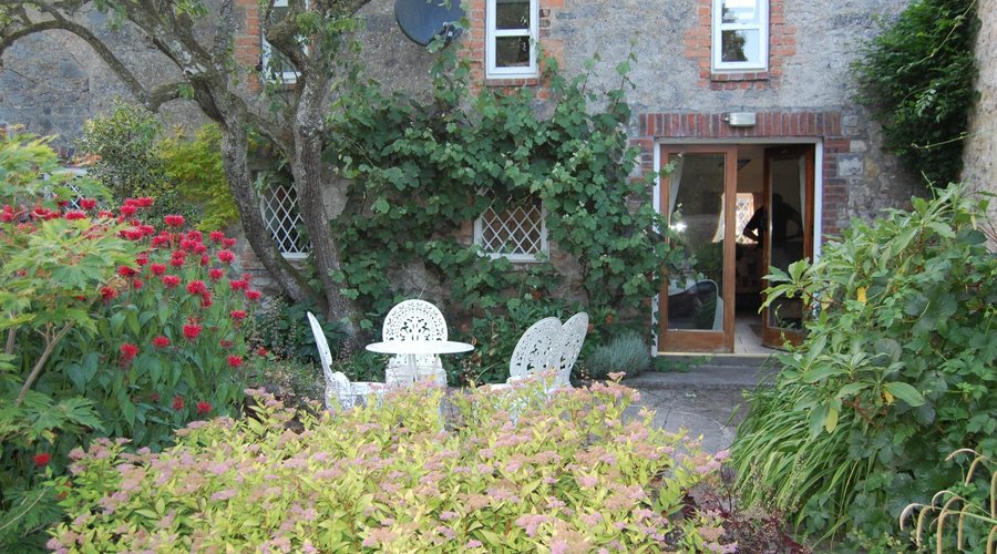 Our garden area