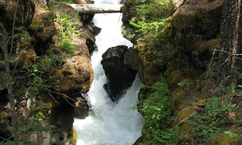 Rogue River Gorge