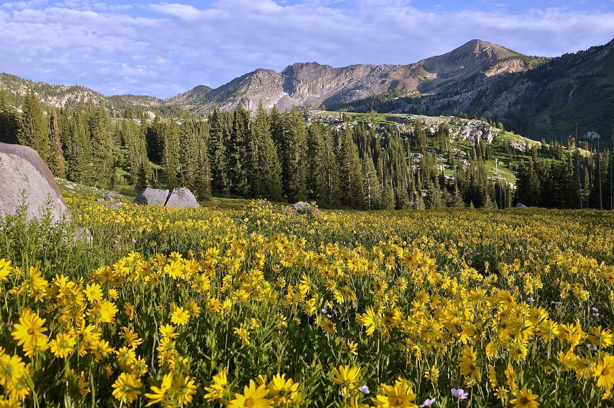 Little Cottonwood Canyon, Юта: лучшие советы перед посещением - Tripadvisor