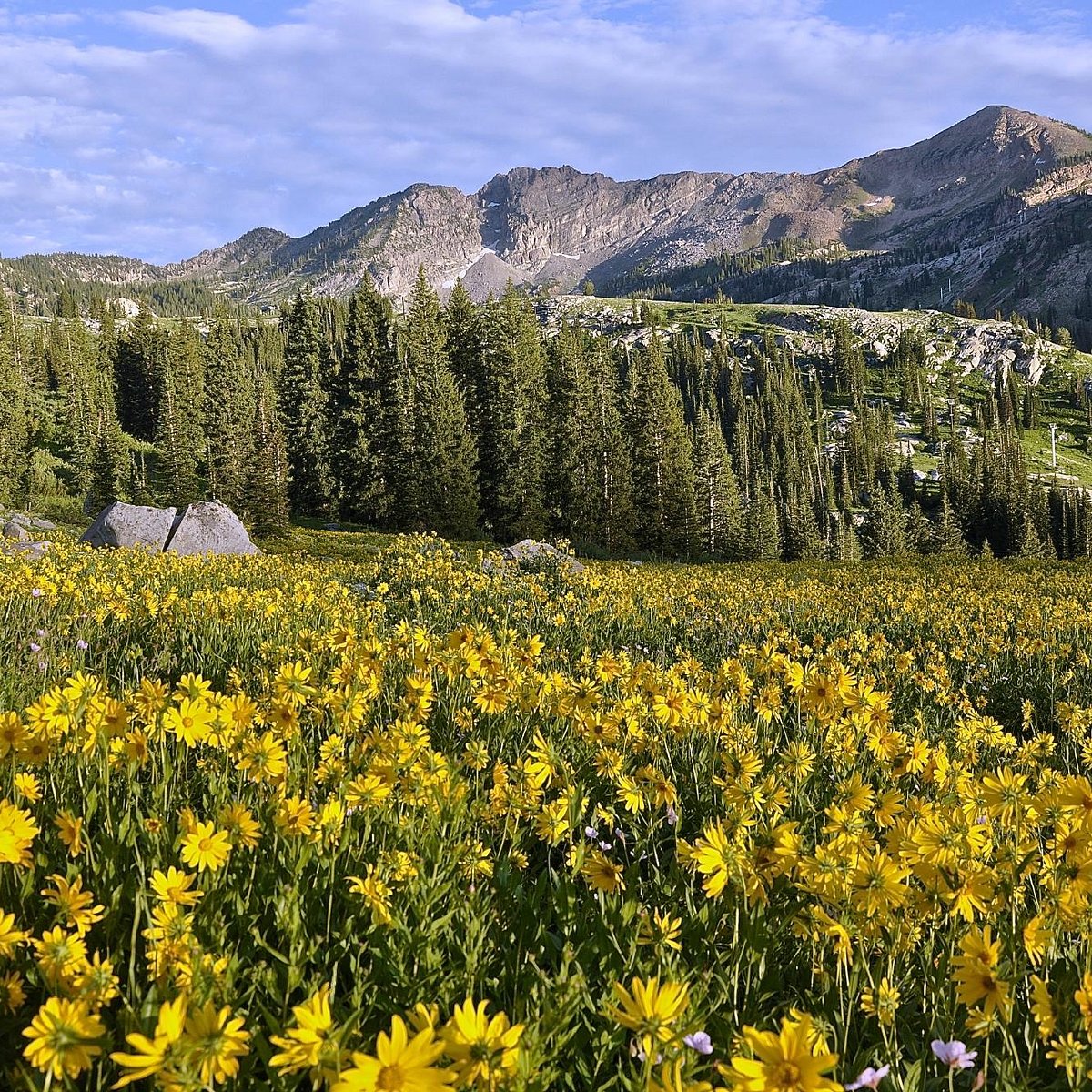 Little Cottonwood Canyon, Юта: лучшие советы перед посещением - Tripadvisor