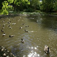 The bird sanctuary