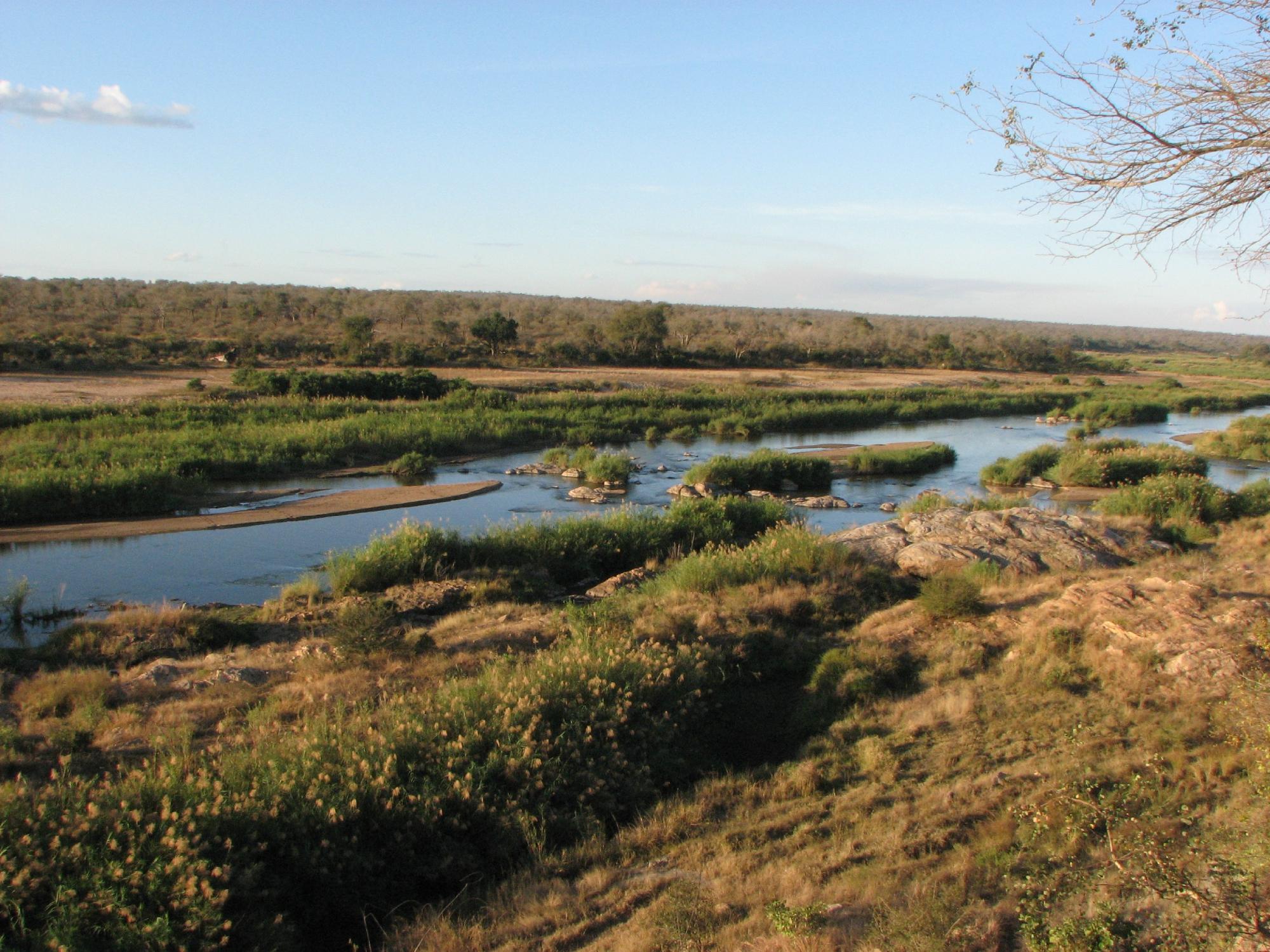 Marloth Park S Dafrika Tourismus In Marloth Park Tripadvisor   Marloth Park 