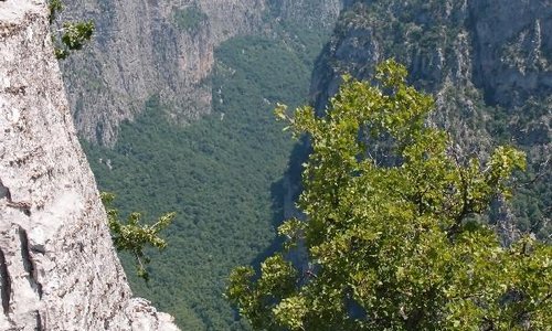 Vikos gorge