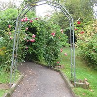 Rosenbogenweg