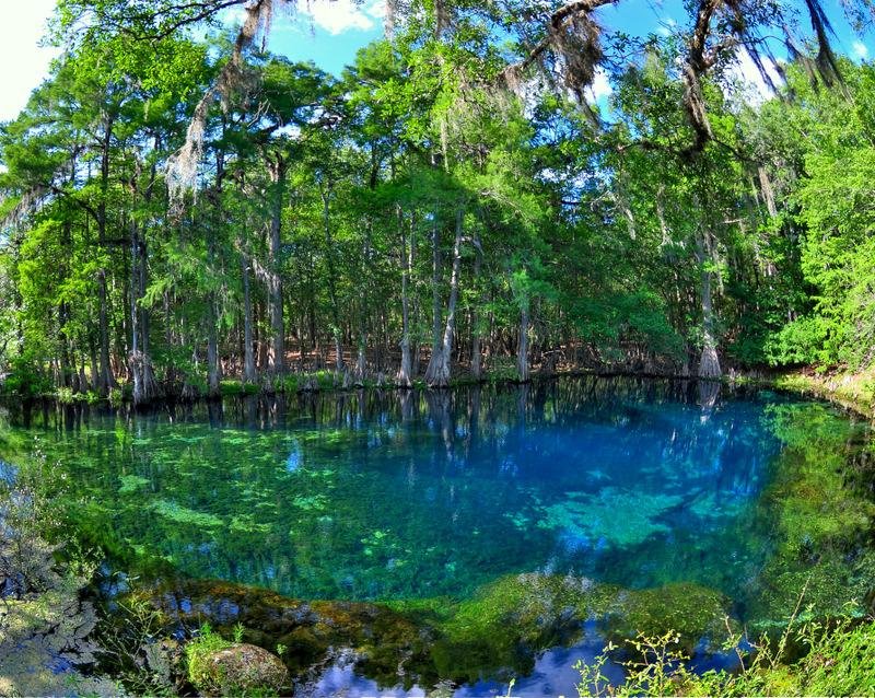 Manatee Springs State Park (Chiefland) - All You Need to Know BEFORE You Go