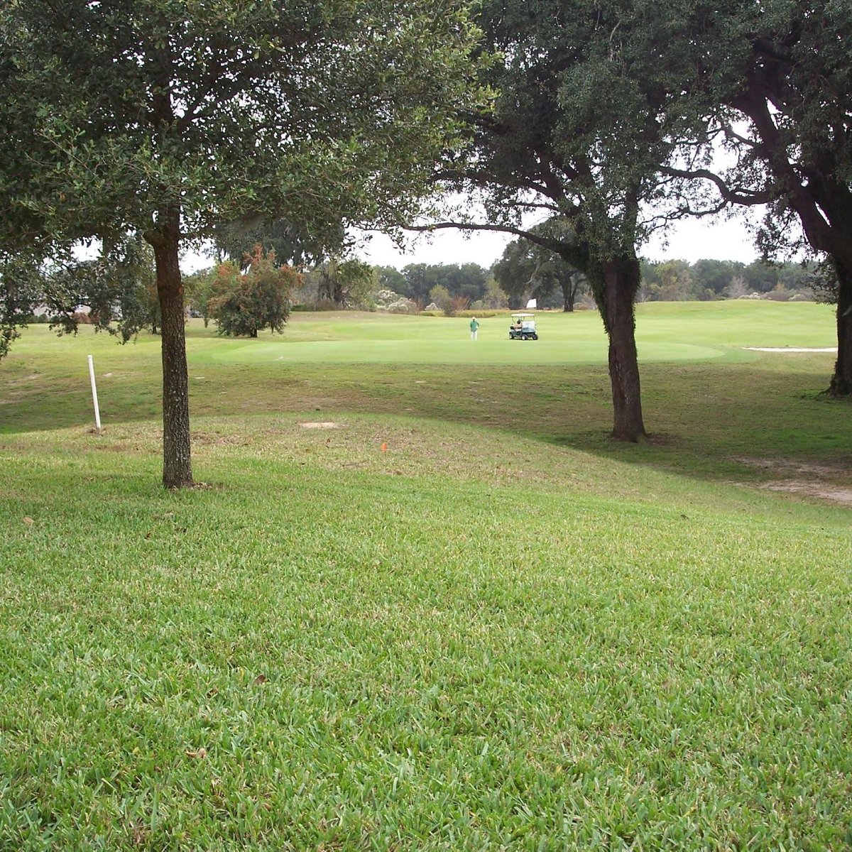 SHERMAN HILLS GOLF & COUNTRY CLUB (Brooksville) All You Need to Know