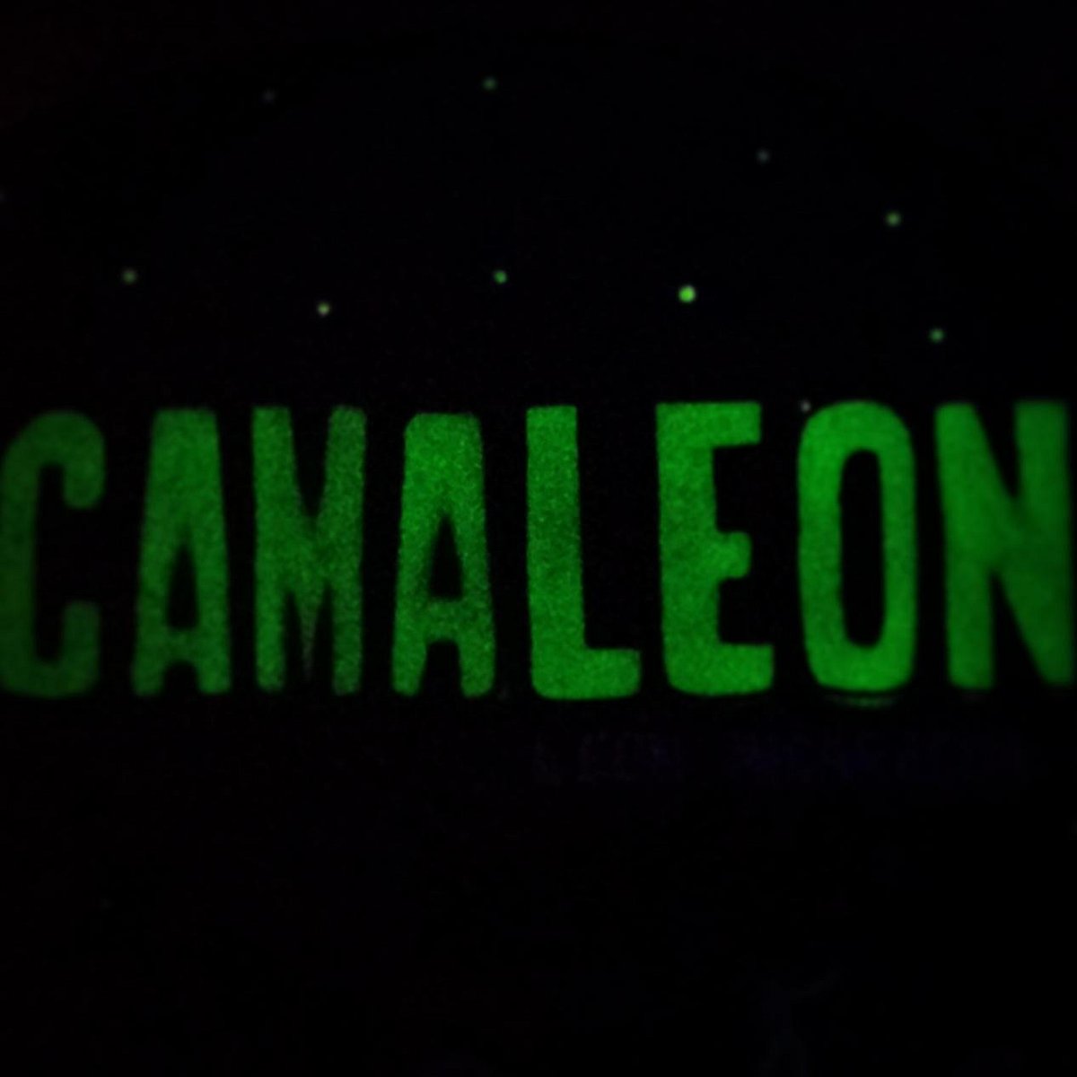 Camaleon (Leon) - All You Need to Know BEFORE You Go